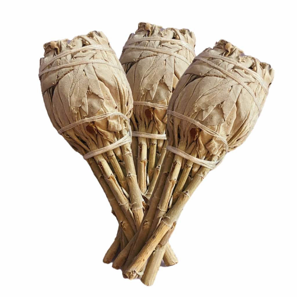 Premium White Sage Smudge Bundle
